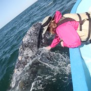 IMG 0001 2 (295)